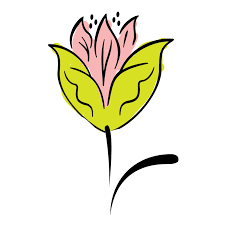 Orto e fiori